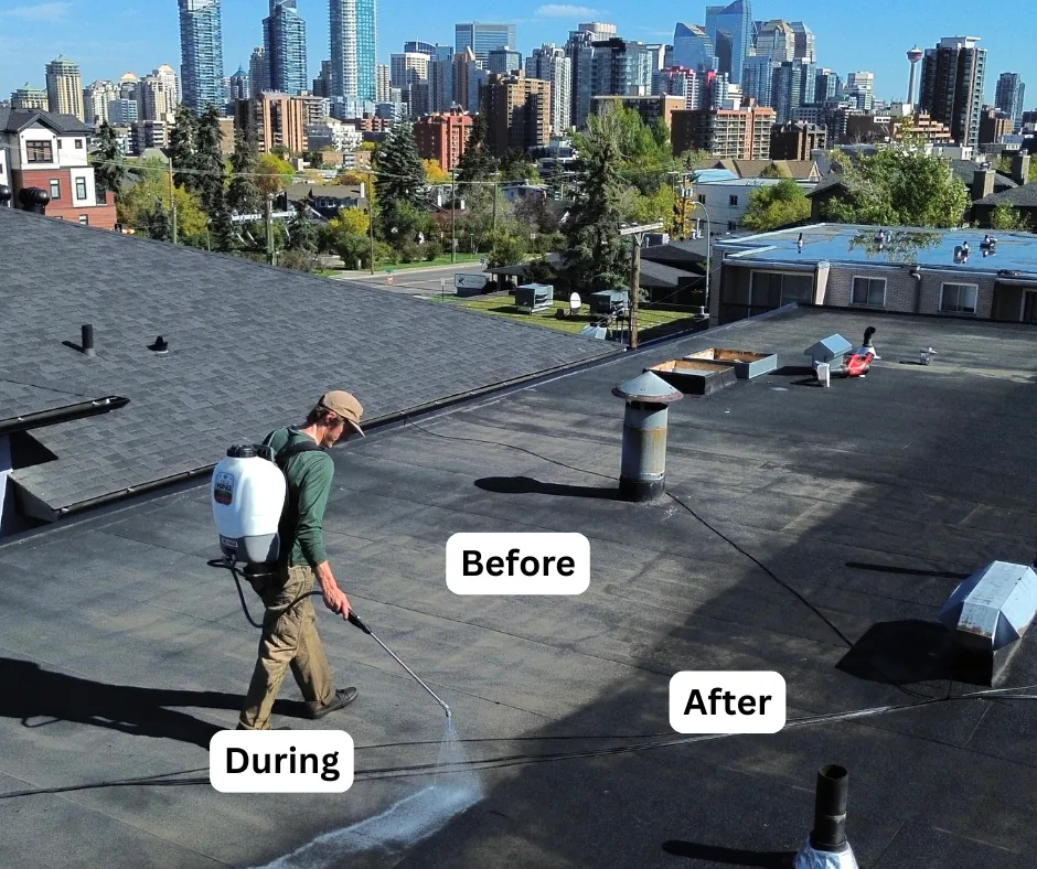 Flat roof restoration with city skyline backdrop