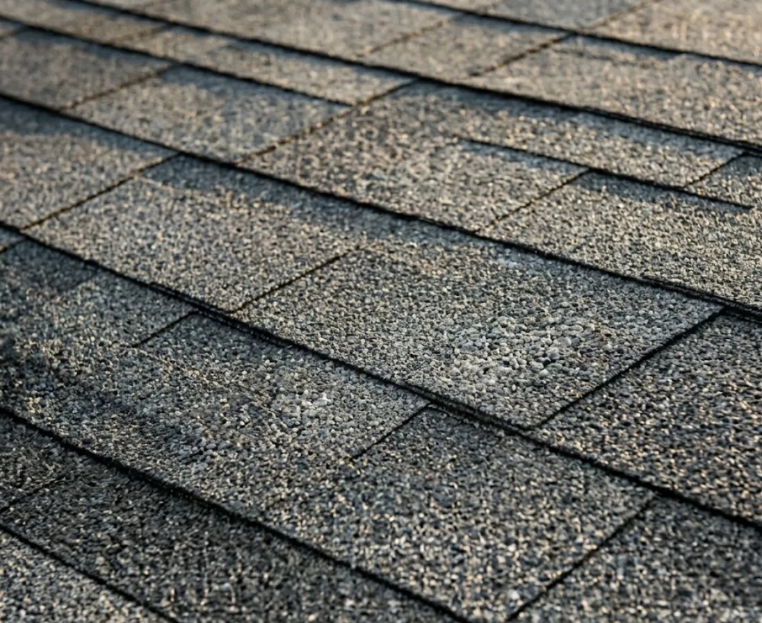 Close-up asphalt shingle texture after roof treatment