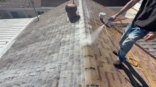 Close-up before and after of asphalt shingle treatment by Relife Roofing