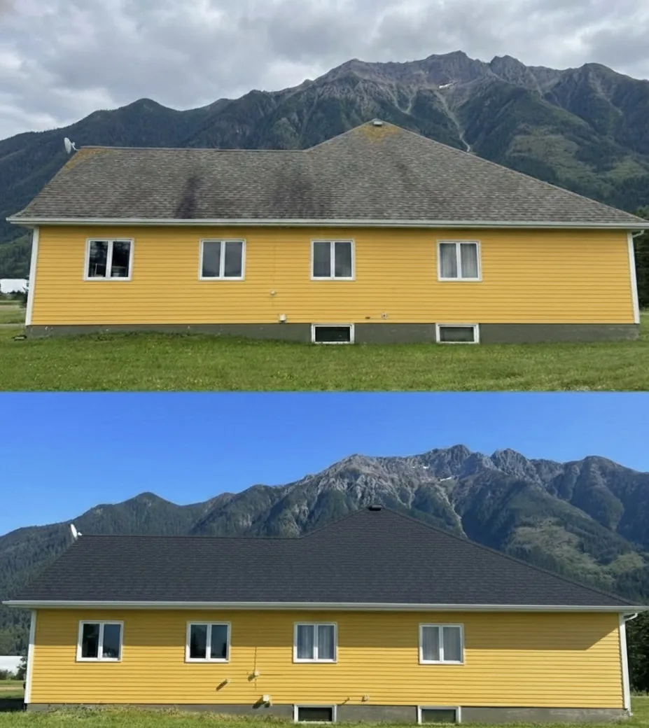 Residential roof before and after treatment comparison