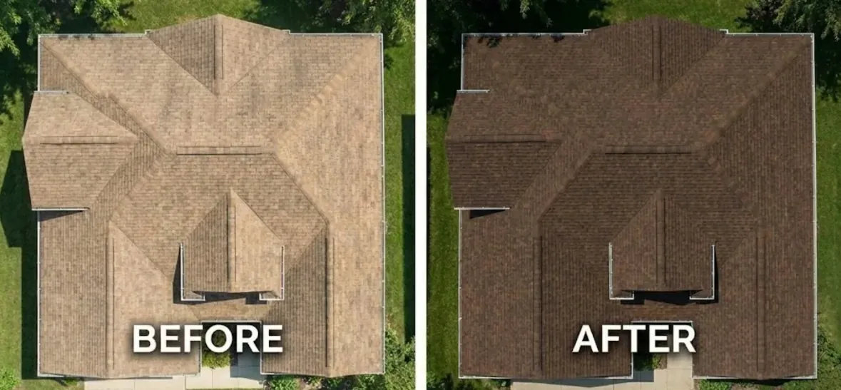 Treated asphalt shingles after roof rejuvenation