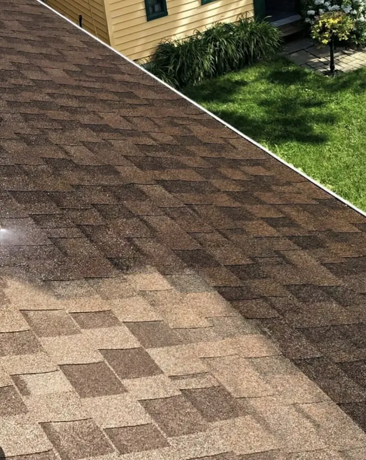 Untreated asphalt shingles showing dry and aged roof condition